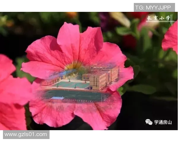 李芳的足球人生：从绿茵场到人生舞台的深度对话与反思